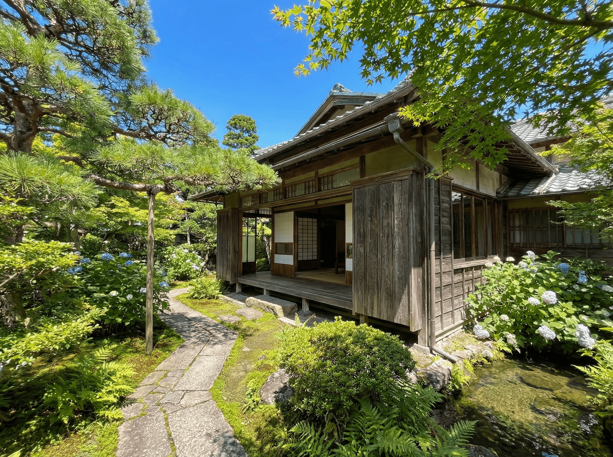夏の施設風景